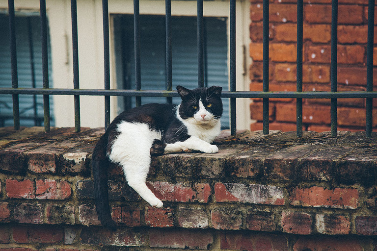 Atlanta_Wedding_Photography_0425