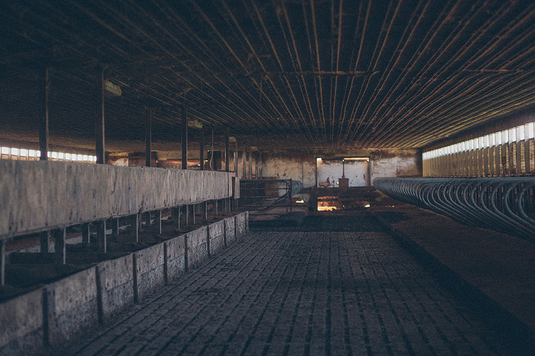 Atlanta_Destination_Photographer_0111