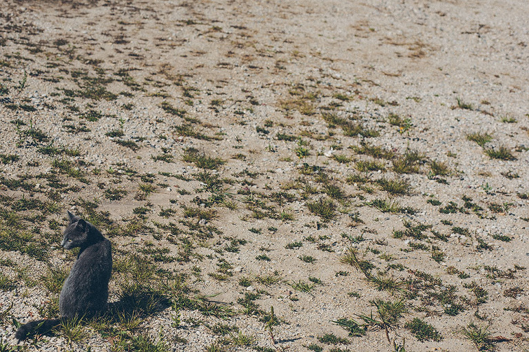 Atlanta_Destination_Photographer_0115