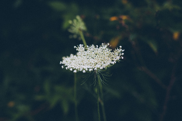 Atlanta_Destination_Photographer_0130