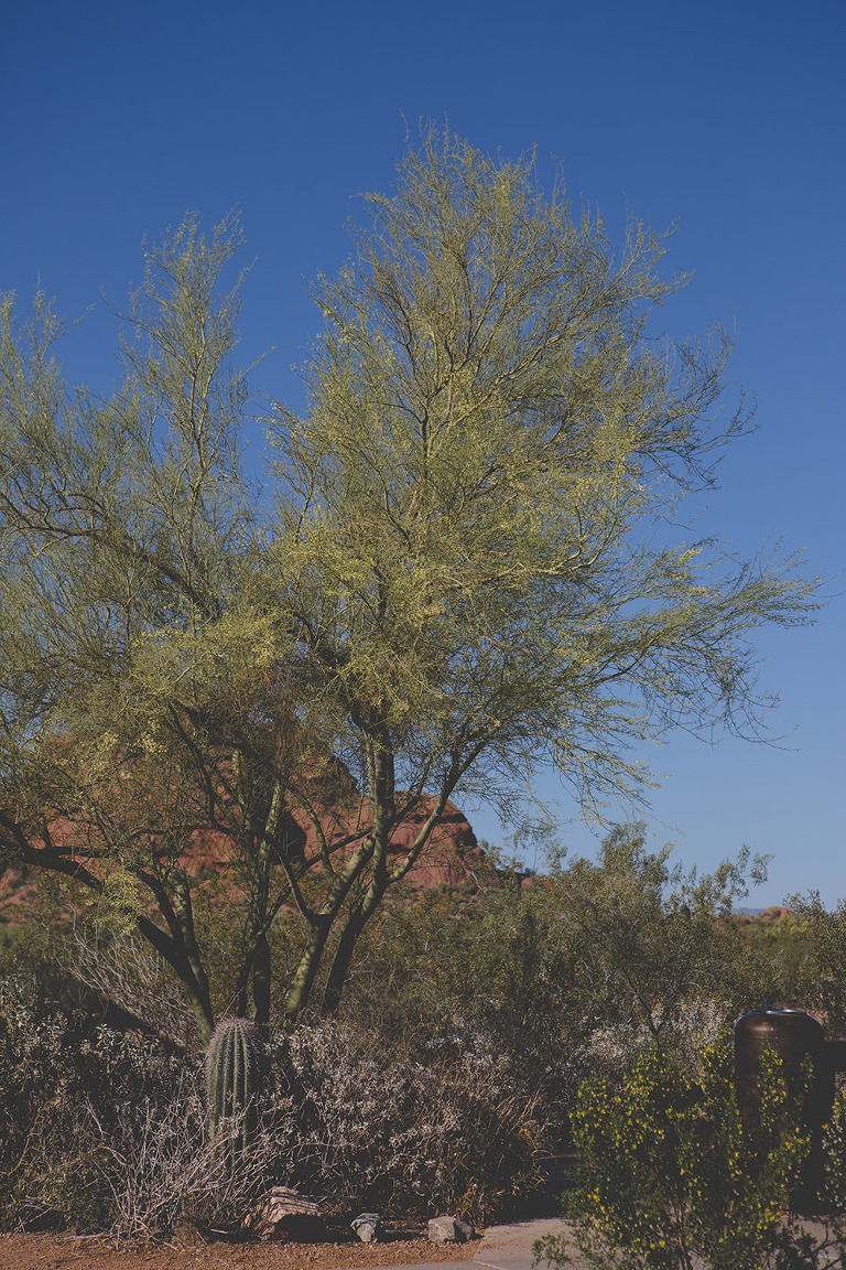 Destination_Wedding_Photographer_0015