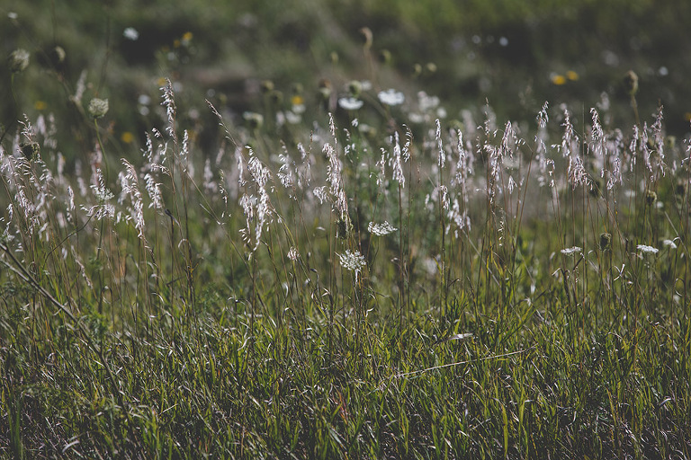 Atlanta_Wedding_Photographer_0462