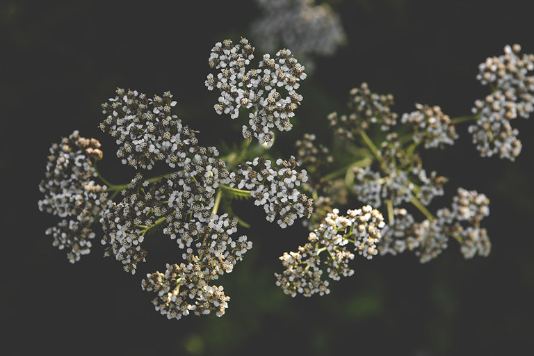 Atlanta_Wedding_Photographer_0720